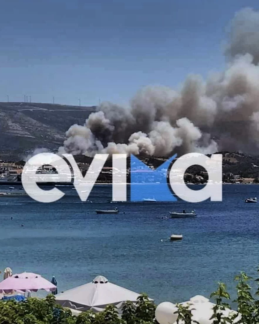 H φωτιά στα Νέα Στυρα 