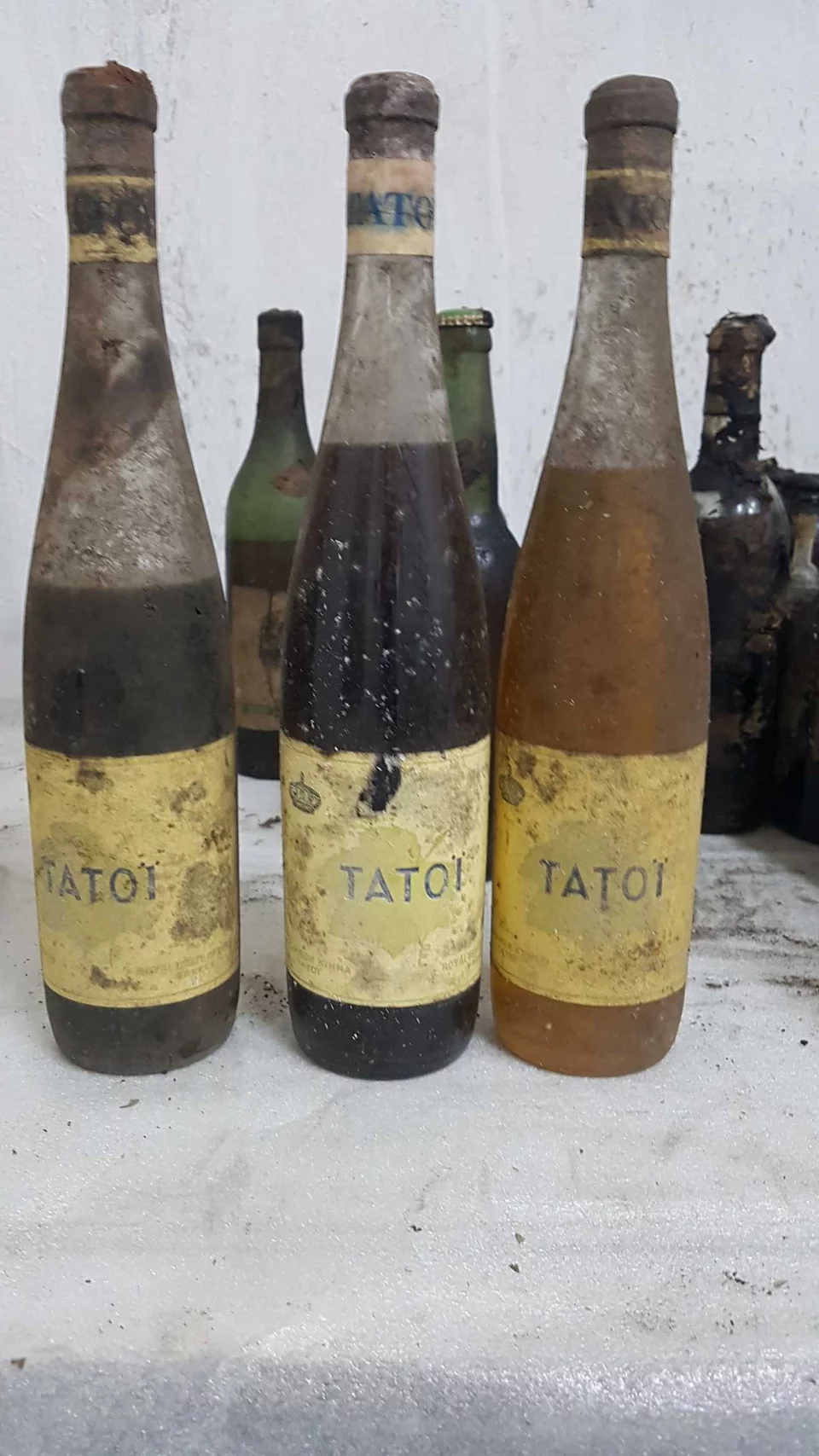 Κάποια από τα κρασιά της κάβας του Τατοΐου / Φωτογραφία: ΑΠΕ/Υπ. Πολιτισμού 