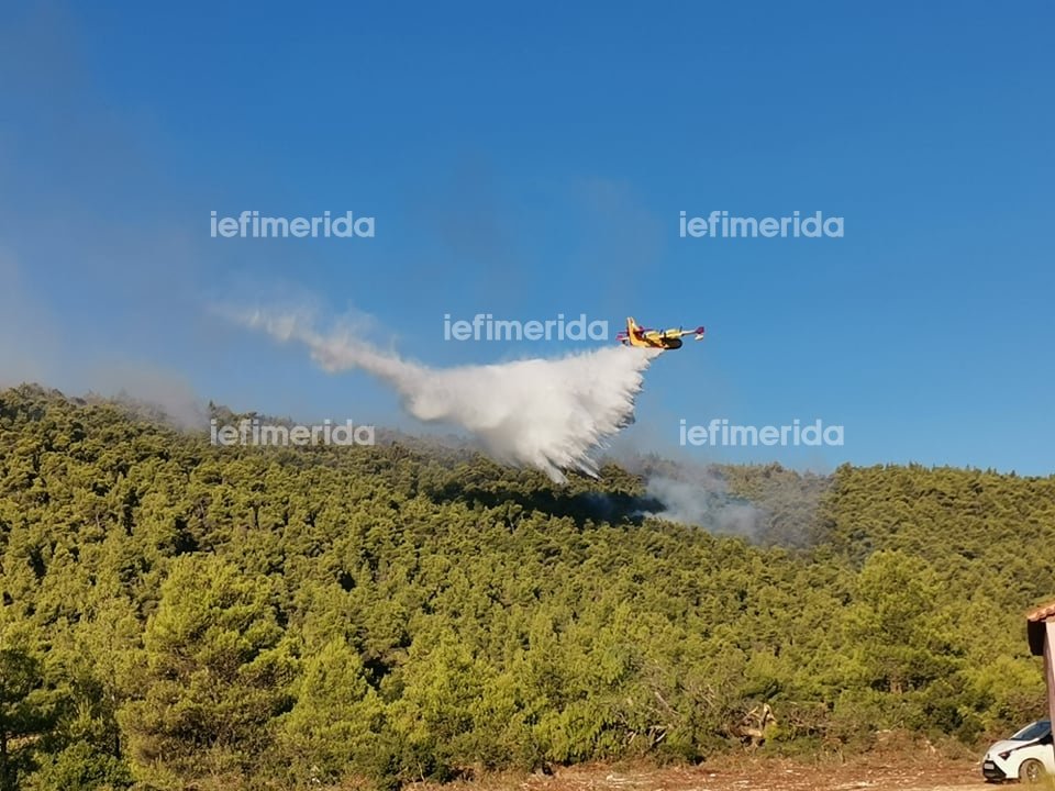 Αεροσκάφος στην πυρκαγιά στα Βίλια Αττικής