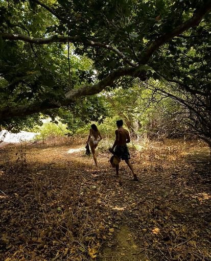 Άγγελος Λάτσιος διακοπές δέντρα