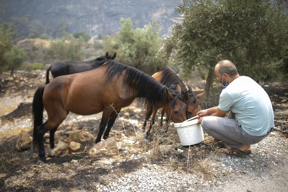 Φωτογραφία: AP Photo/Emre Tazegul