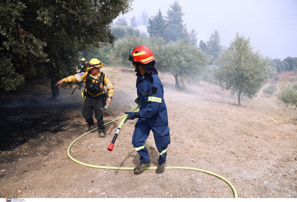 Μάχη με τις αναζωπυρώσεις στις φωτιές στην Αρκαδία - Φωτογραφία: ΚΑΠΑΝΤΑΗΣ ΔΗΜΗΤΡΗΣ
