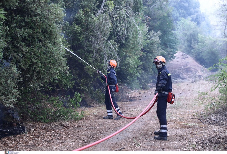 Μάχη με τις αναζωπυρώσεις στις φωτιές στην Αρκαδία - Φωτογραφία: ΚΑΠΑΝΤΑΗΣ ΔΗΜΗΤΡΗΣ