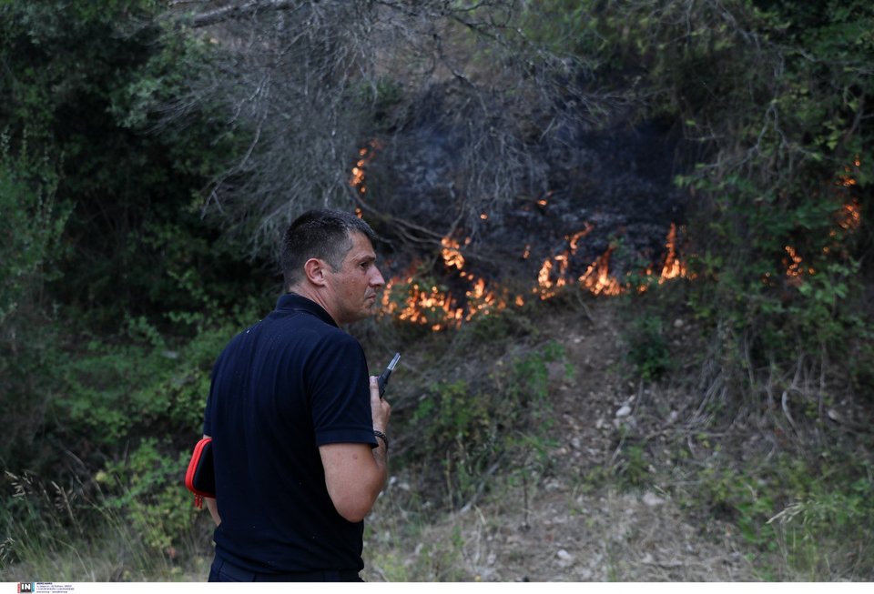 Μάχη με τις αναζωπυρώσεις στις φωτιές στην Αρκαδία - Φωτογραφία: ΚΑΠΑΝΤΑΗΣ ΔΗΜΗΤΡΗΣ