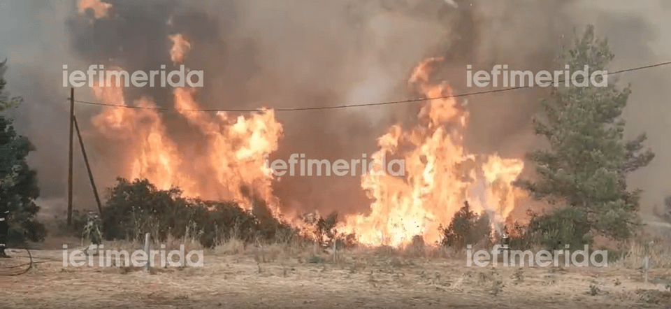 Φούντωσαν οι φλόγες στην Αβγαριά Ευβοίας / Φωτογραφία: iefimerida