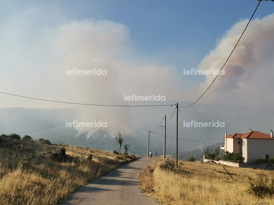 Πυκνός καπνός έχει σκεπάσει τα Βίλια / Φωτογραφία: iefimerida.gr