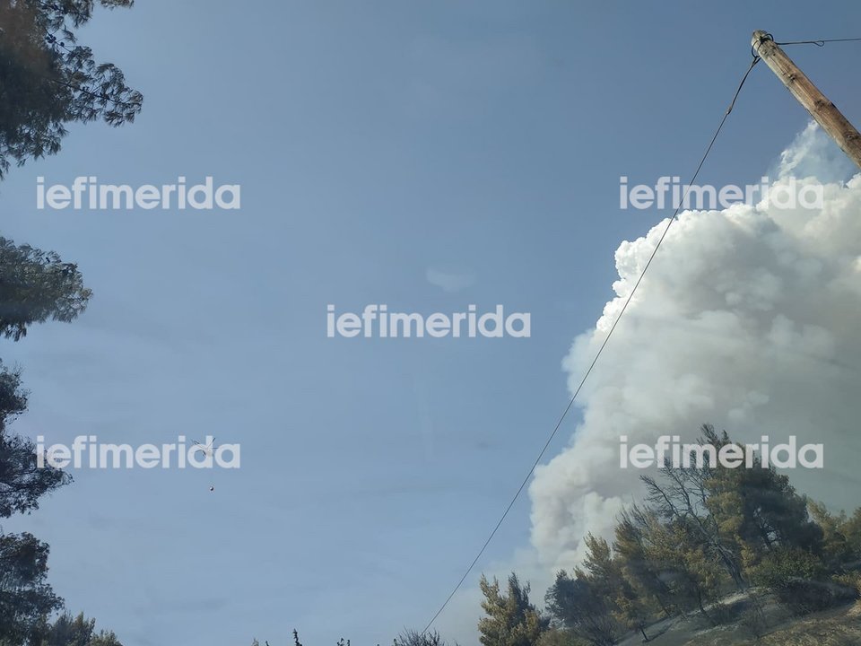 Αποστολή iefimerida.gr στην Εύβοια