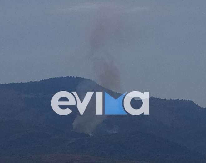 φωτιά Μίστρος Εύβοια