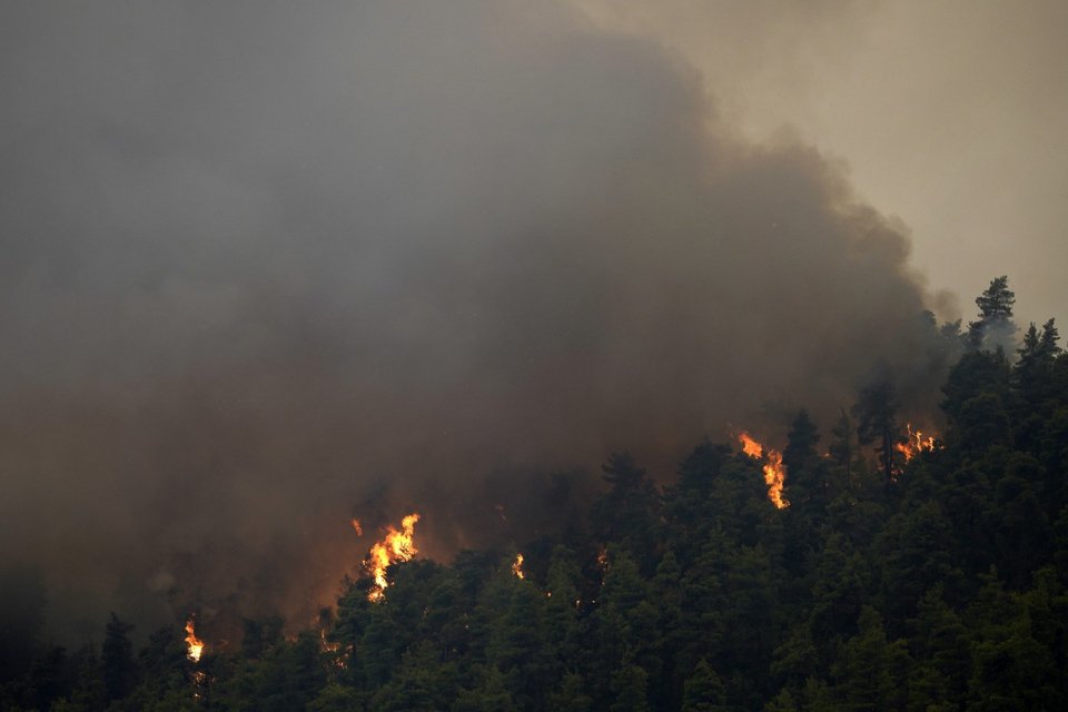 Η πυρκαγιά στις Γούβες Ευβοίας -Φωτογραφία: AP Photo/Petros Karadjias