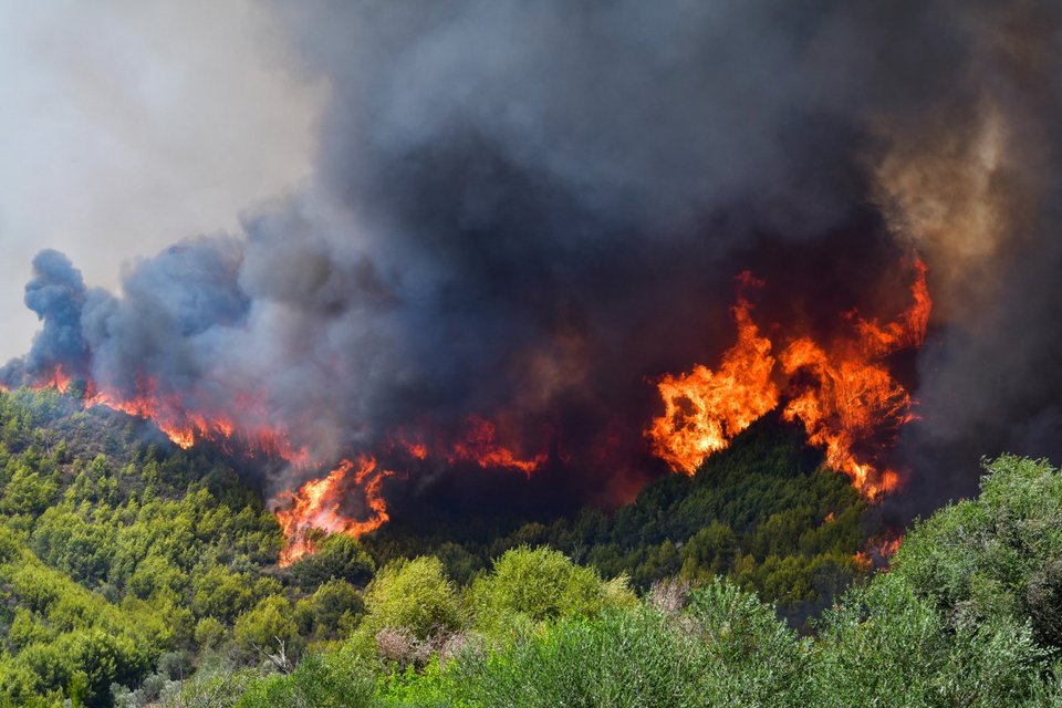 Πυρκαγιά στην Ηρακλειά της Αρχαίας Ολυμπίας -Φωτογραφία: ilialive/ ΓΙΑΝΝΗΣ ΣΠΥΡΟΥΝΗΣ