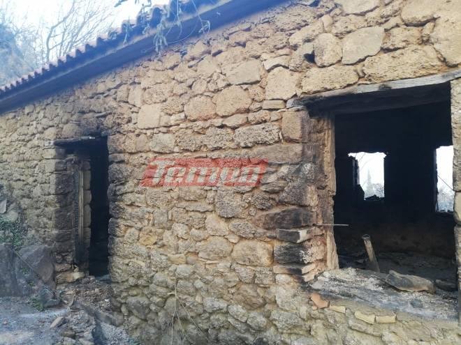 φωτιά Ηλεία καταστροφές