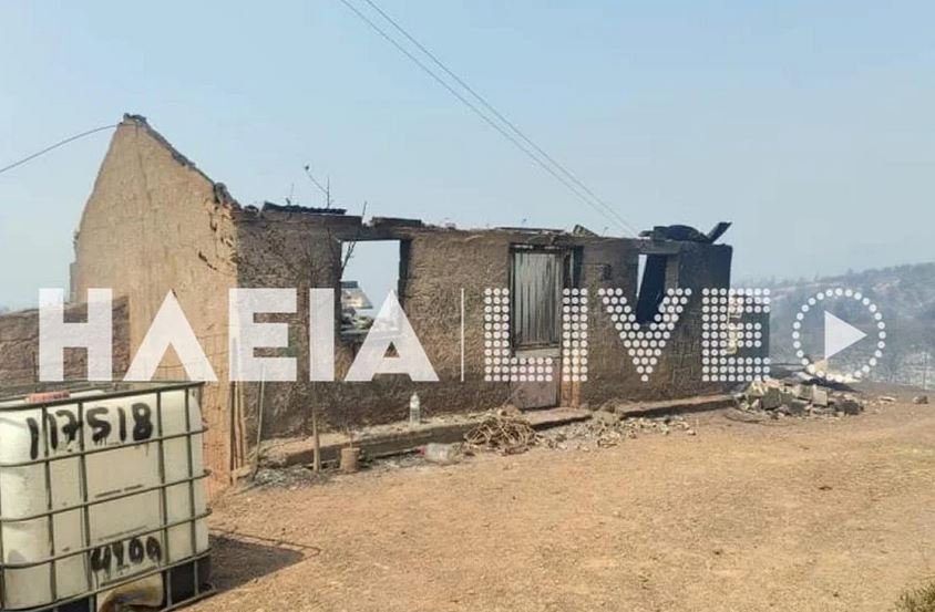 Φωτογραφία από ilialive 