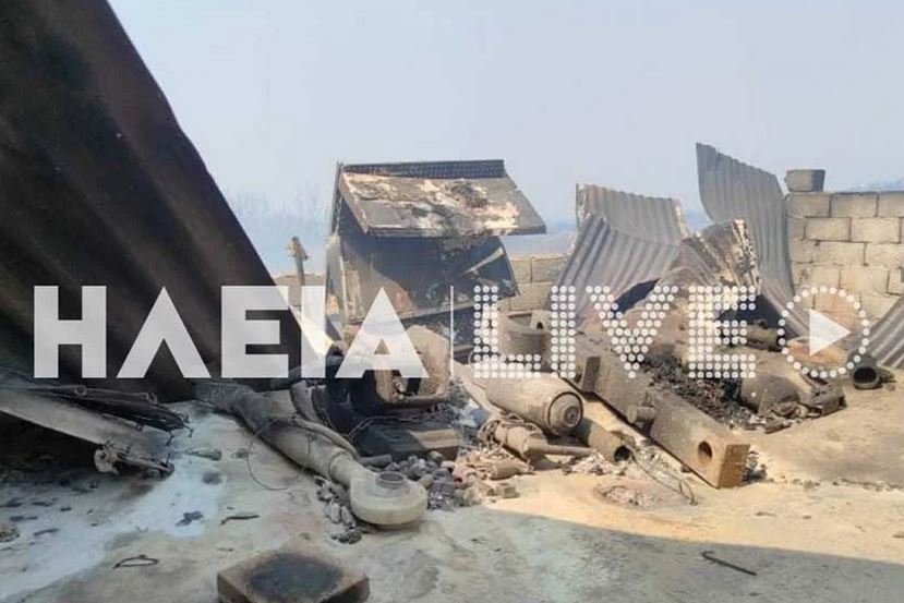 Φωτογραφία από ilialive  