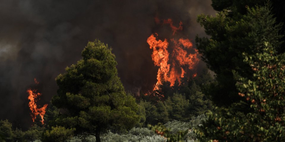 Συνεχίζει την καταστροφική του πορεία η φωτιά στη βόρεια Εύβοια / Φωτογραφία: Ευρωκίνηση-ΣΩΤΗΡΗΣ ΔΗΜΗΤΡΟΠΟΥΛΟΣ