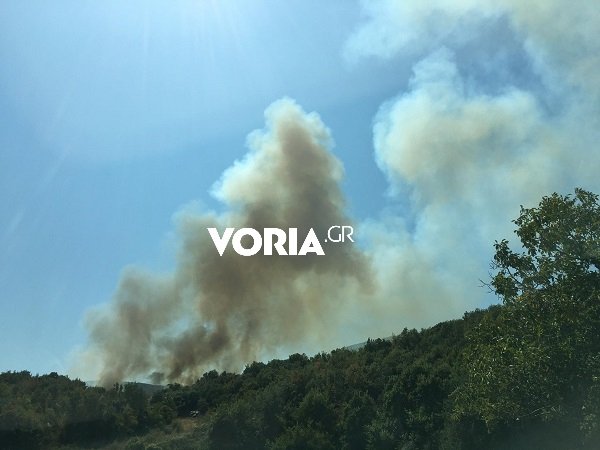 φωτιά Παγγαίο Καβάλα καπνός