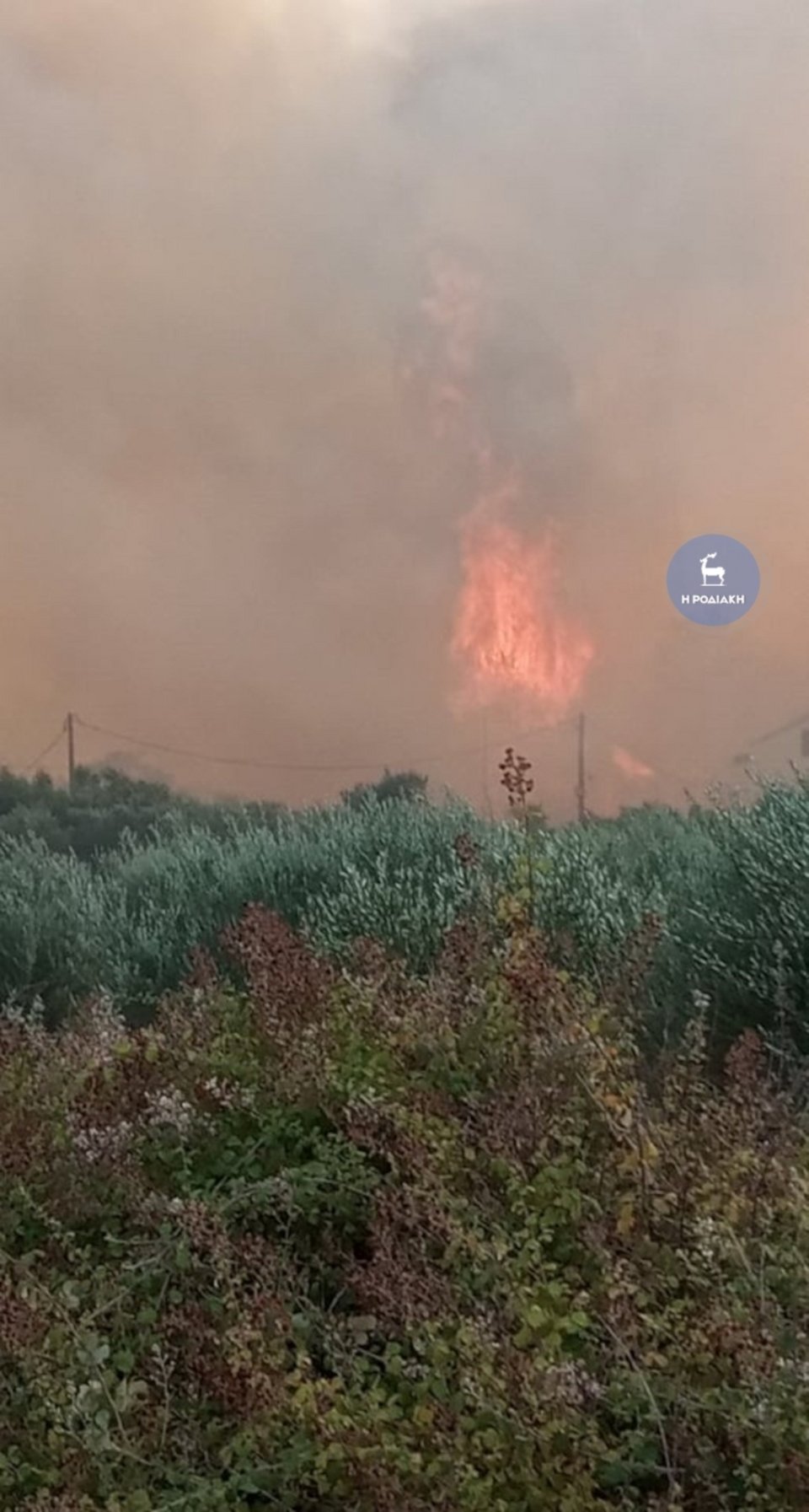 Φωτογραφία: rodiaki @Γιάννης Ντελλάκης