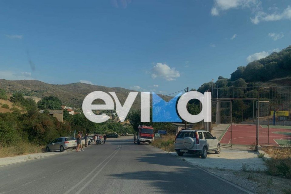 Συναγερμός για τη φωτιά στις Πετριές / Φωτογραφία: evima.gr