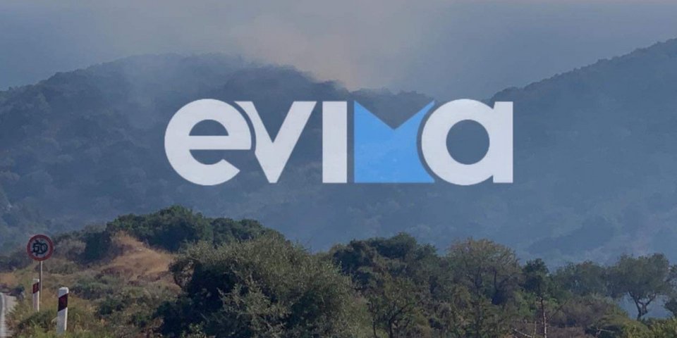 Καπνοί από το σημείο της πυρκαγιάς / Φωτογραφία: evima.gr