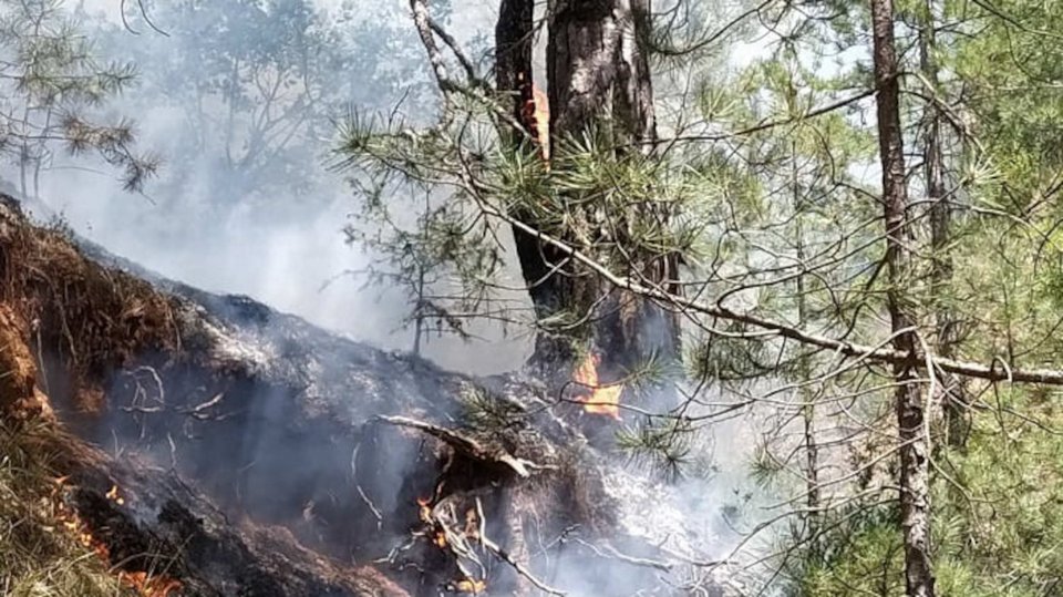 Σε δύο μέτωπα επικεντρώθηκαν οι πυροσβεστικές δυνάμεις στα Ιωάννινα / Φωτογραφία: epiruspost.gr