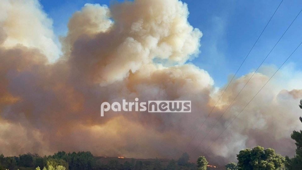 Μεγάλο το πύρινο μέτωπο στη Νεμούτα / Φωτογραφία: patrisnews.com