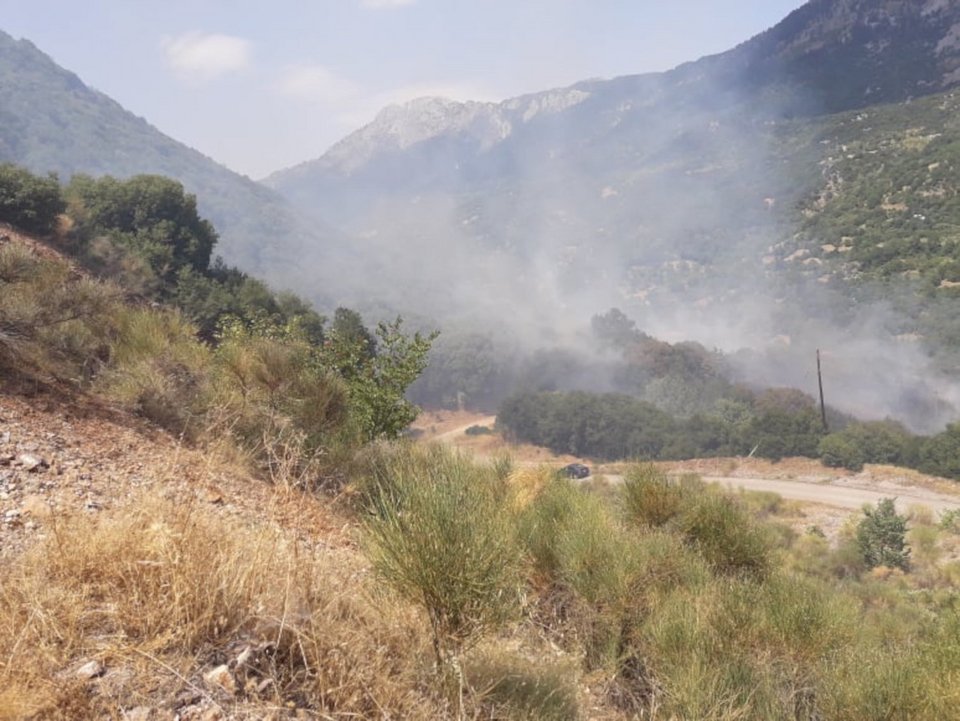 Κάηκε σημαντικό μέρος του δάσους / Φωτογραφία: trikalavoice.gr