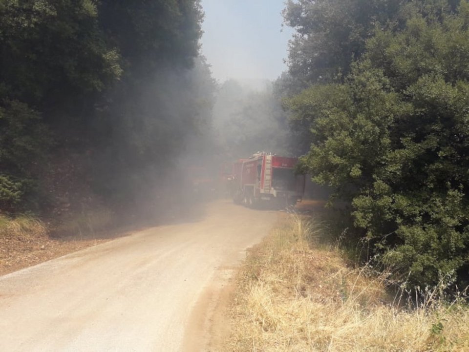 Η Πυροσβεστική έσπευσε άμεσα στο σημείο / Φωτογραφία: trikalavoice.gr