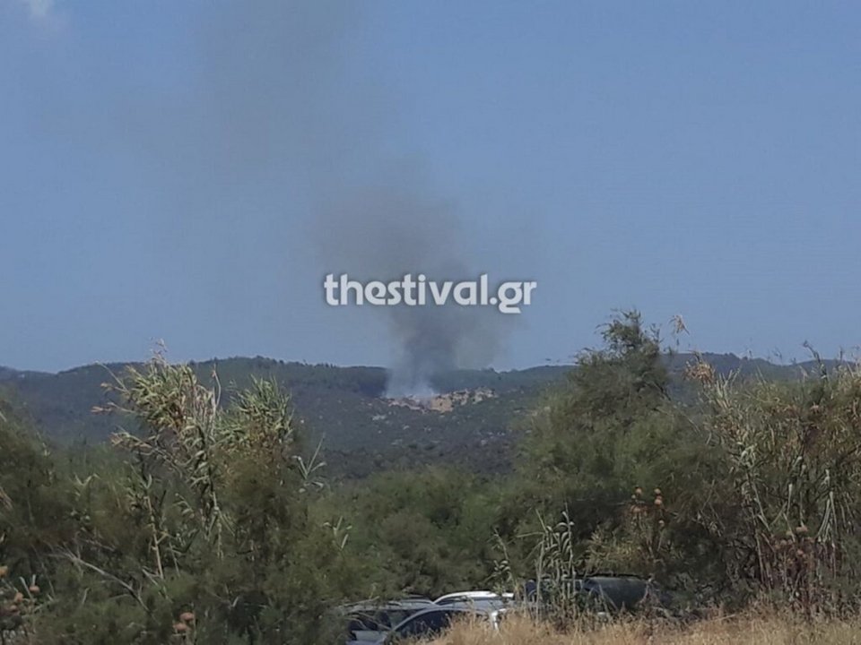 Η φωτιά καίει σε δασική περιοχή / Φωτογραφία: thestival.gr