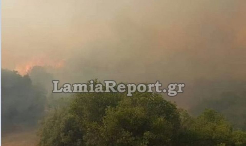 Μαίνονται οι φλόγες στο Λογγίτσι / Φωτογραφία: lamiareport.gr