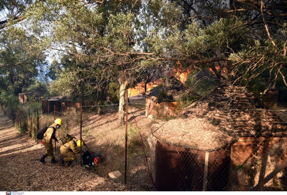 Στις φλόγες παραδόθηκαν και ό,τι είχε απομείνει από τις καλύβες του κλαμπ Μεντιτερανέ. Το κλαμπ Μεντ είναι εγκαταλελειμμένο εδώ και χρόνια. 
