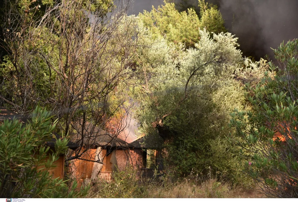 Εγκαταλελειμμένο εδώ και χρόνια, με πυκνή βλάστηση η φωτιά δεν άφησε τίποτα όρθιο. 