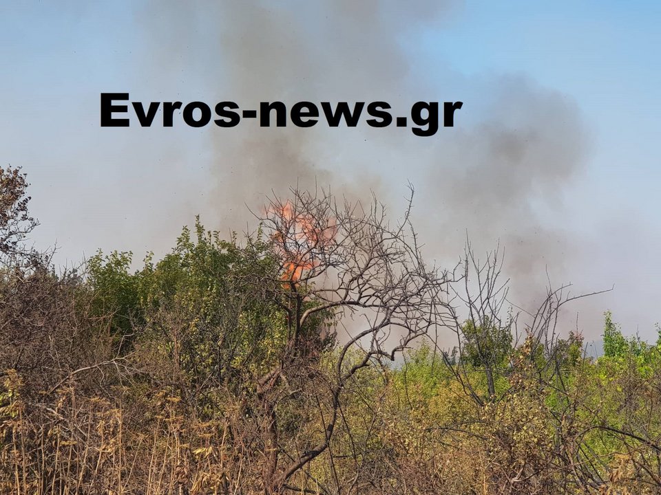 Οι φλόγες συνεχίζουν το καταστροφικό τους έργο / Φωτογραφίες: evros-news.gr