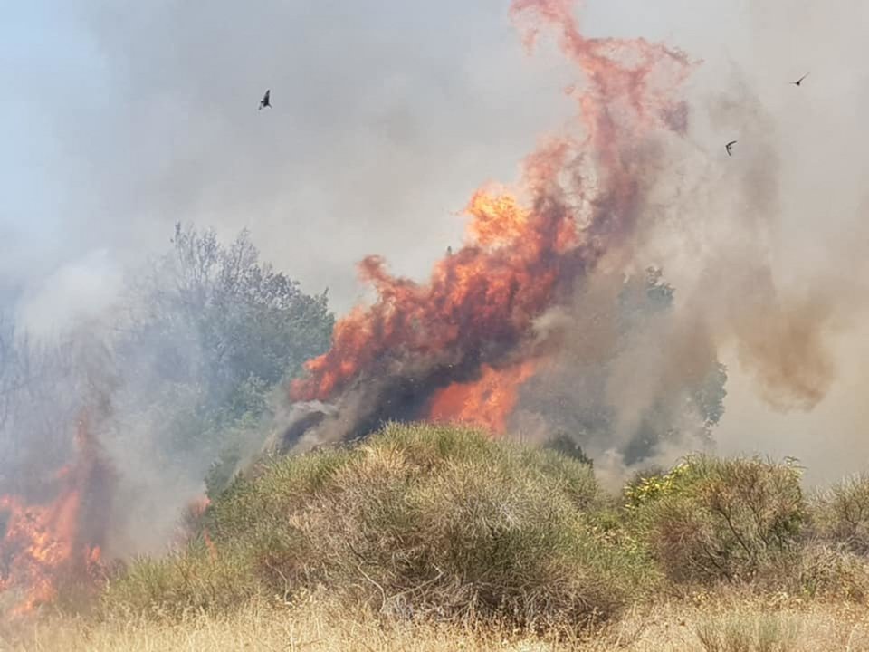 Εντονες οι φλόγες από τη φωτιά στη Λαγυνά / Φωτογραφία: evros-news.gr