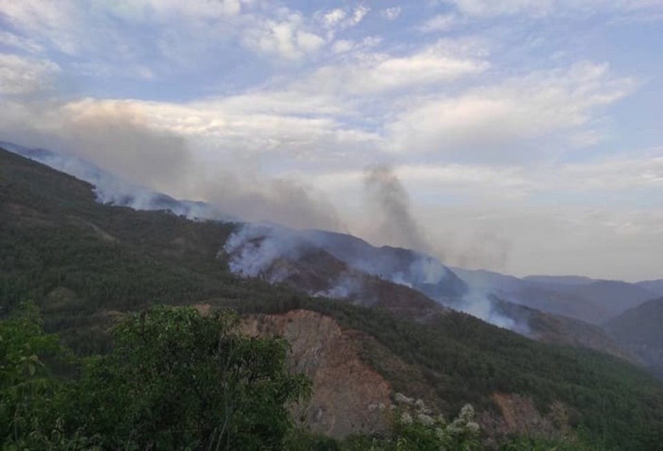 Καταστροφή σε ένα από τα πιο ωραία πευκοδάση του Σμόλικα / Φωτογραφία: epirusport.gr