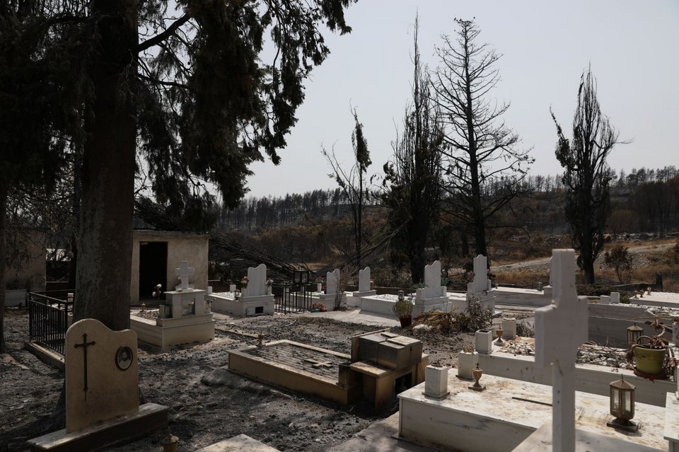Φωτογραφίες μετά τη φωτιά στην Εύβοια, Παπάδες