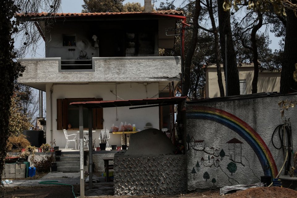Φωτογραφίες μετά τη φωτιά στην Εύβοια, Παπάδες