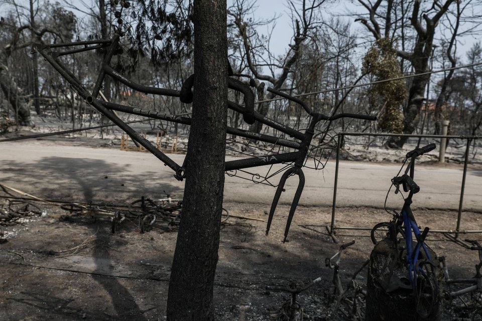 Φωτογραφίες μετά τη φωτιά στην Εύβοια, Παπάδες
