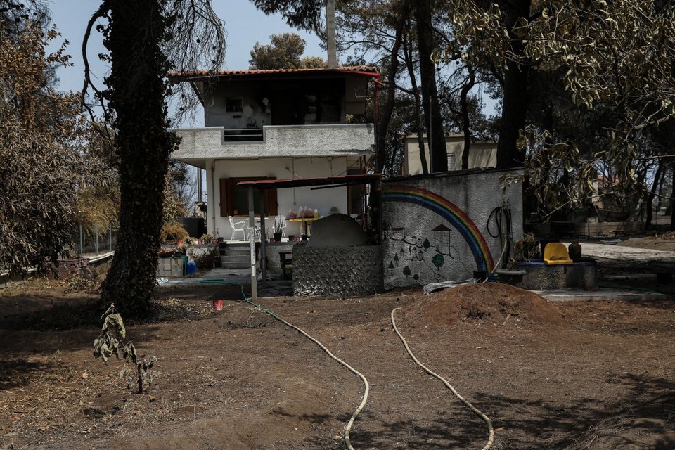 Φωτογραφίες μετά τη φωτιά στην Εύβοια, Παπάδες