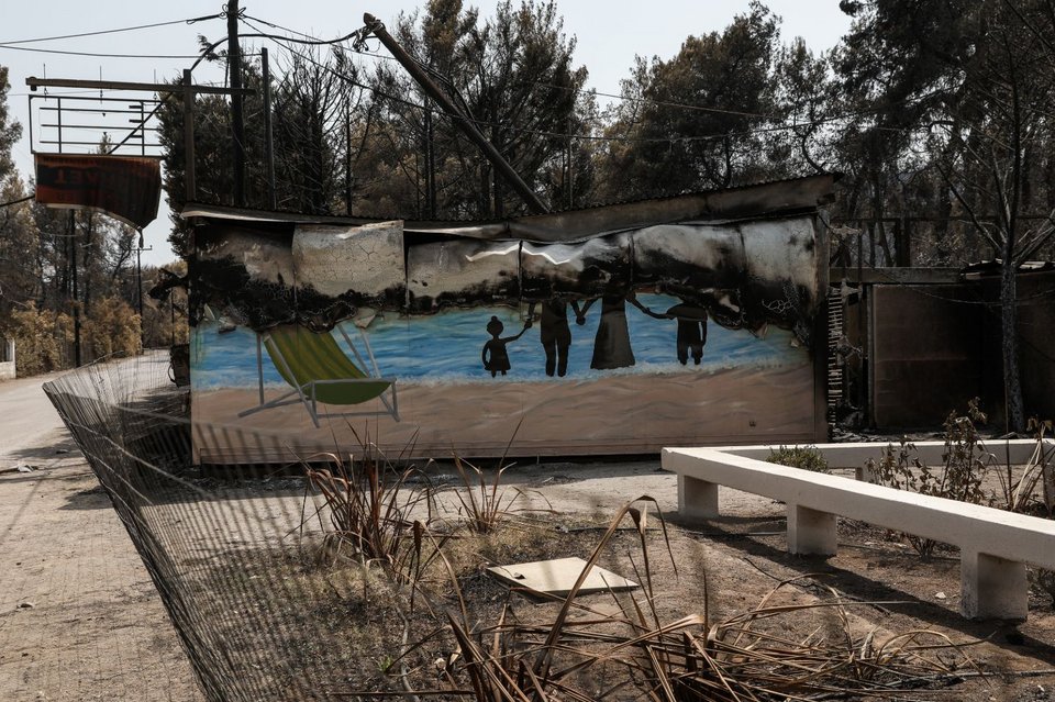 Φωτογραφίες μετά τη φωτιά στην Εύβοια, Παπάδες