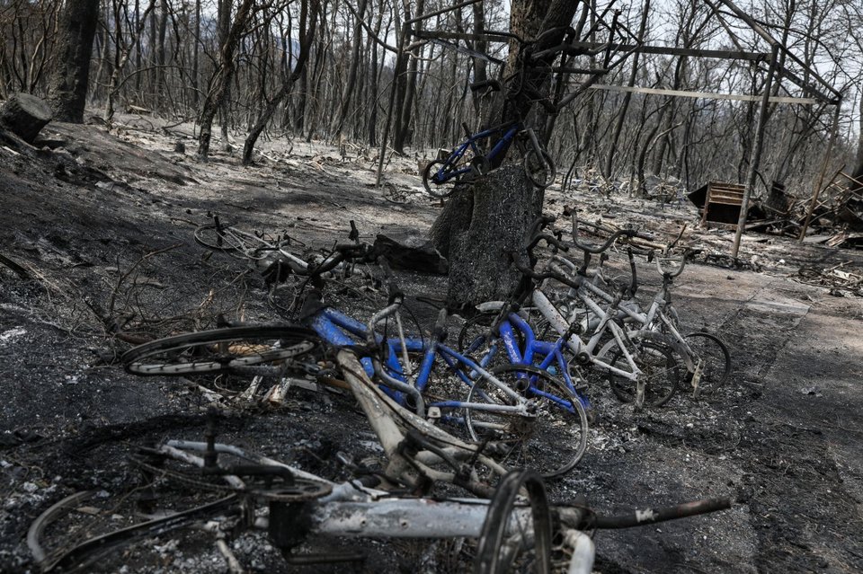 Φωτογραφίες μετά τη φωτιά στην Εύβοια, Παπάδες