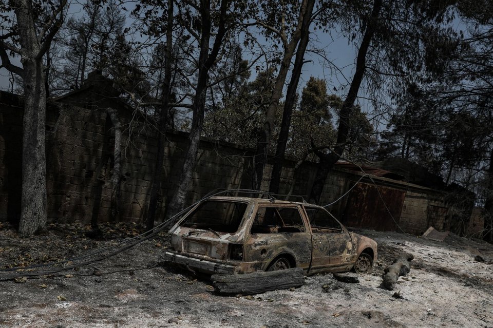 Φωτογραφίες μετά τη φωτιά στην Εύβοια, Παπάδες