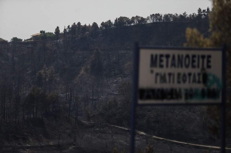 Φωτογραφίες μετά τη φωτιά στην Εύβοια, Παπάδες