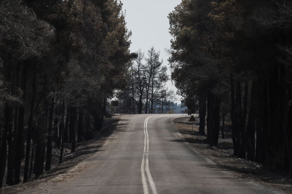 Φωτογραφίες μετά τη φωτιά στην Εύβοια, Παπάδες