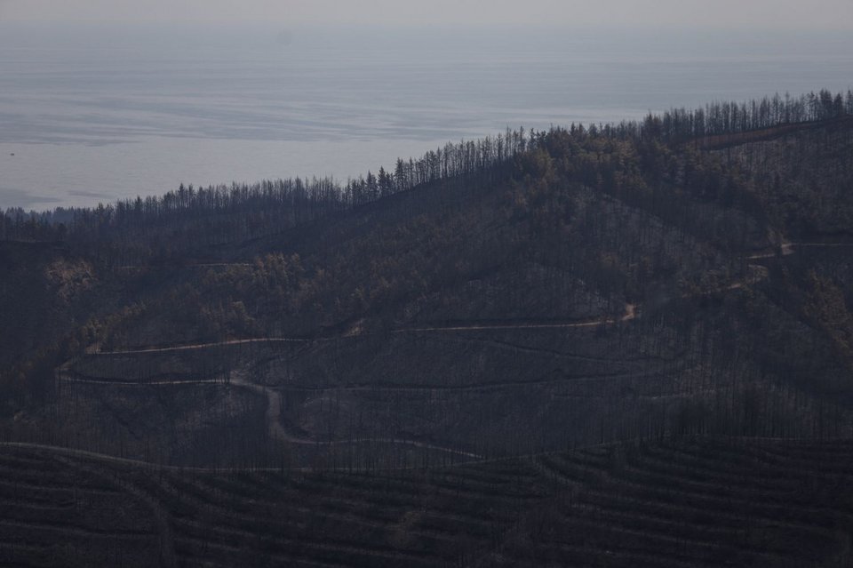 Φωτογραφίες μετά τη φωτιά στην Εύβοια, Ελληνικά