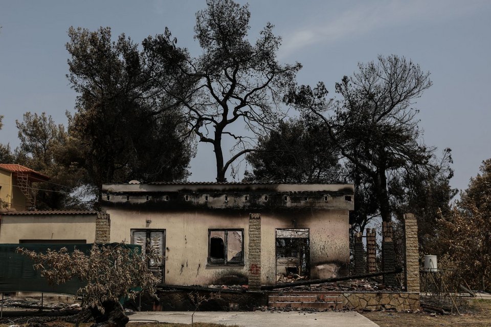 Φωτογραφίες μετά τη φωτιά στην Εύβοια, Παπάδες