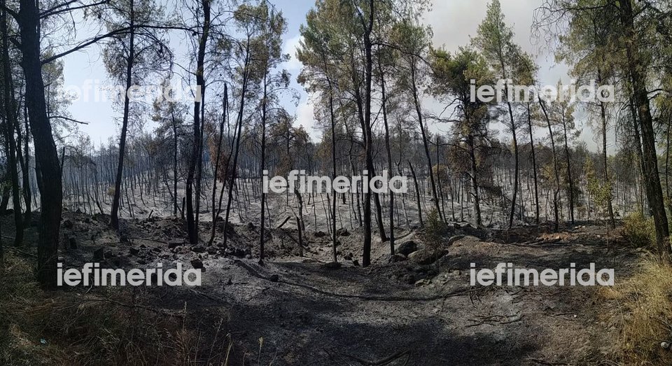 Αποστολή iefimerida.gr στην Εύβοια
