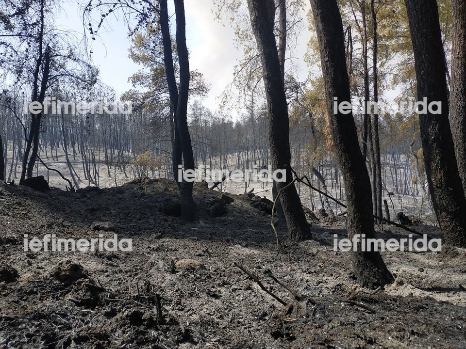 Αποστολή iefimerida.gr στην Εύβοια