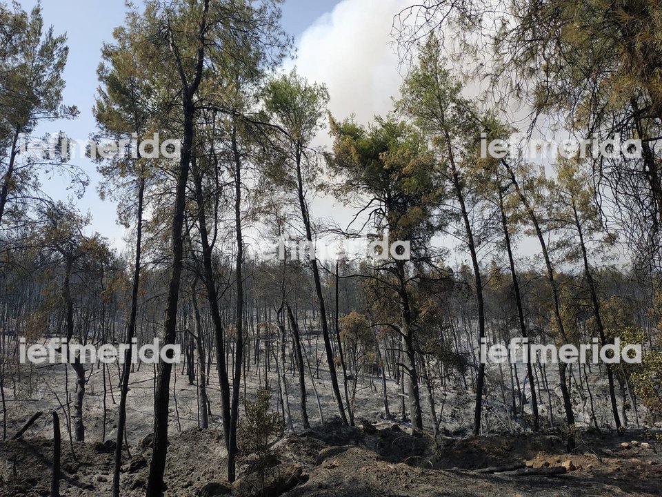 Αποστολή iefimerida.gr στην Εύβοια