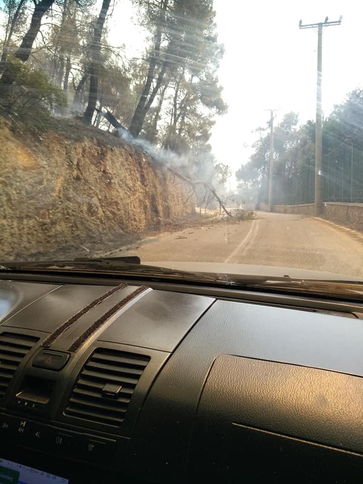 Πεσμένο δέντρο σε δρόμο, ενώ μαίνεται η φωτιά
