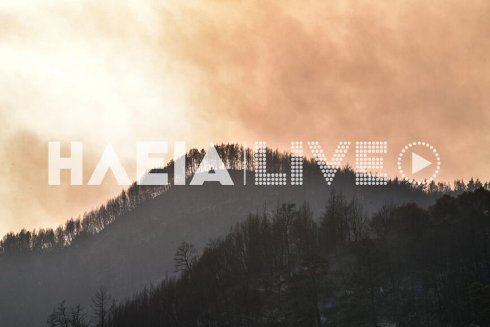 Τα δάση έχουν γίνει στάχτη / Φωτογραφία: ilialive.gr