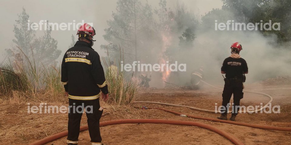 Πυροσβέστες στην Εύβοια / Φωτογραφία: iefimerida.gr